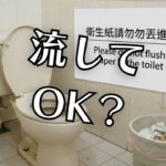 台湾のトイレ問題｜みんな迷う。結局流してOKなの？